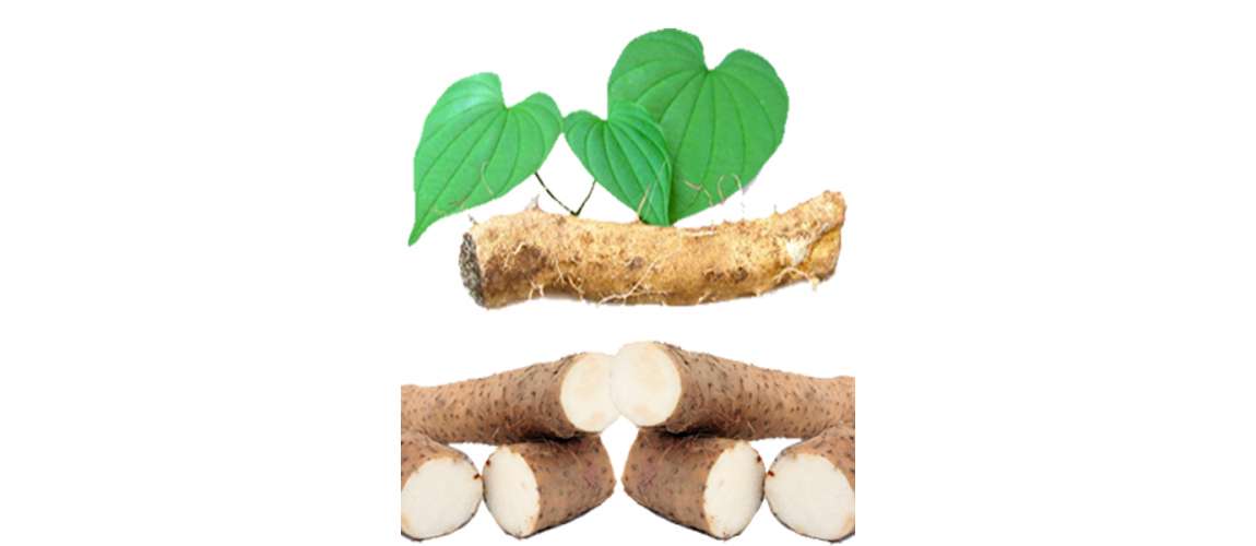 DALLA NATURA il PROGESTERONE